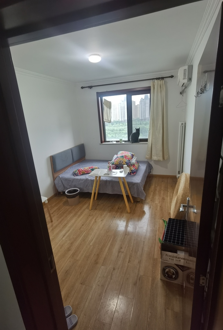 blue草房 朝通嘉园 2室1厅 合租￥3800老张望京南 朝庭公寓 4室1厅